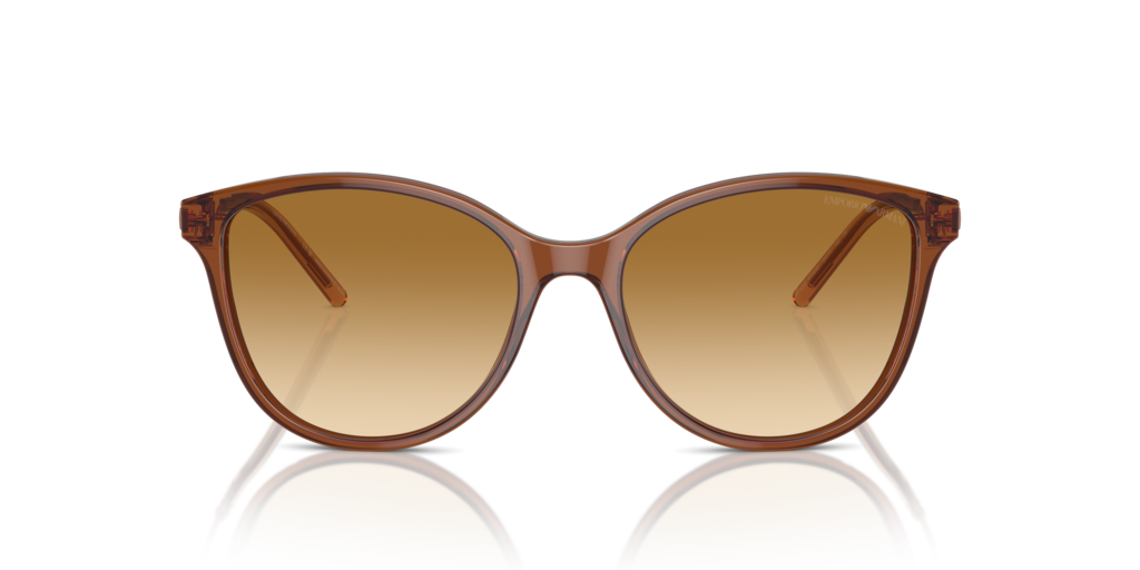 Emporio Armani EA4220 61103B 54 Güneş Gözlükleri