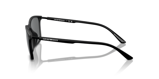 Emporio Armani EA4223U 500187
