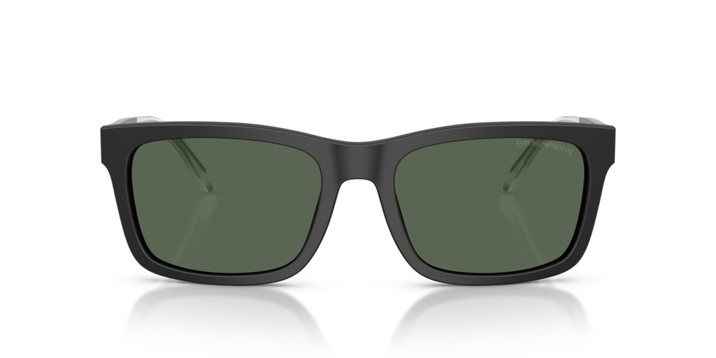 Emporio Armani EA4224 500171