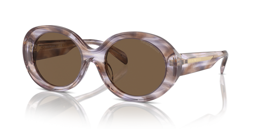 Emporio Armani EA4231U 615673 53 Güneş Gözlükleri