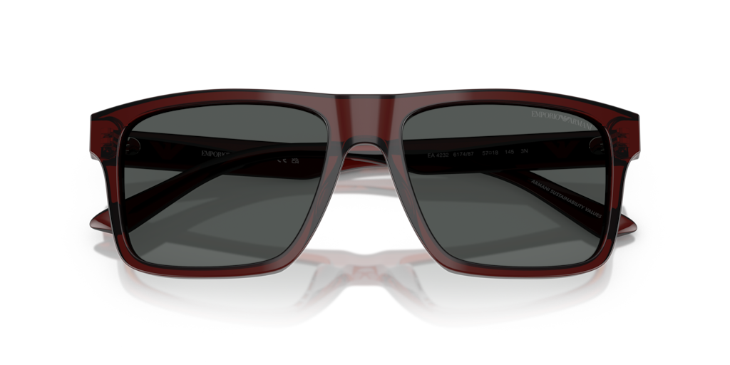 Emporio Armani EA4232 617487