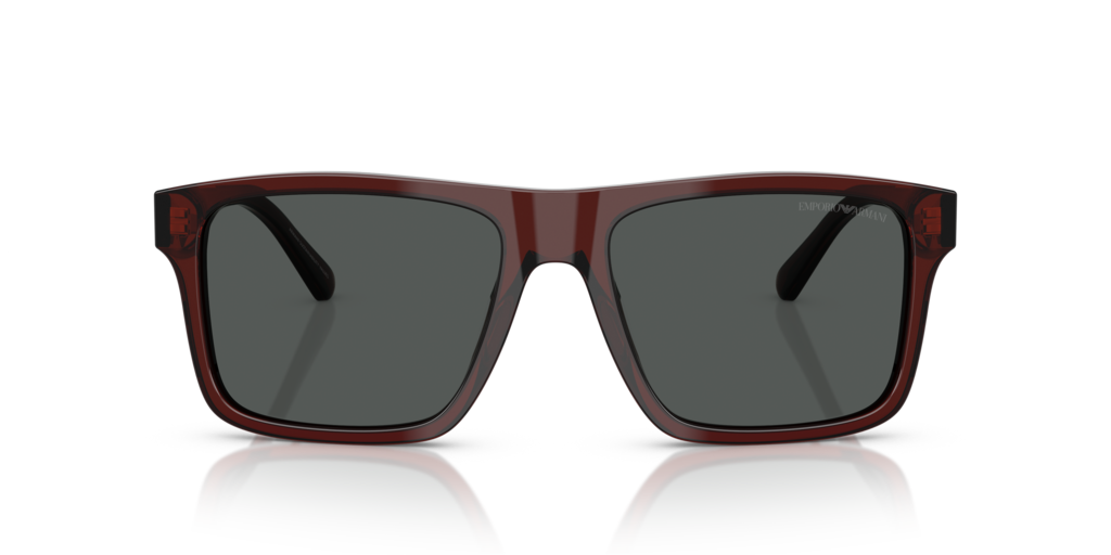 Emporio Armani EA4232 617487