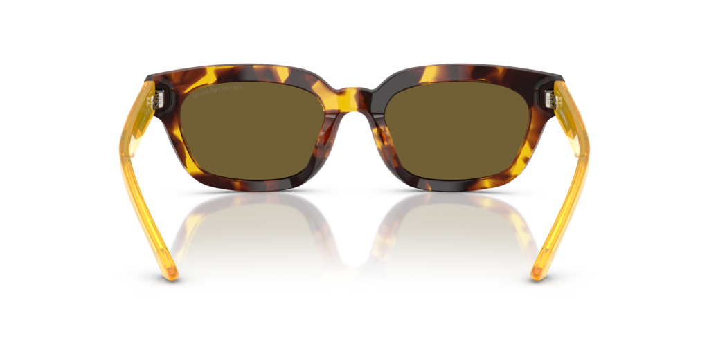 Emporio Armani EA4233U 618173