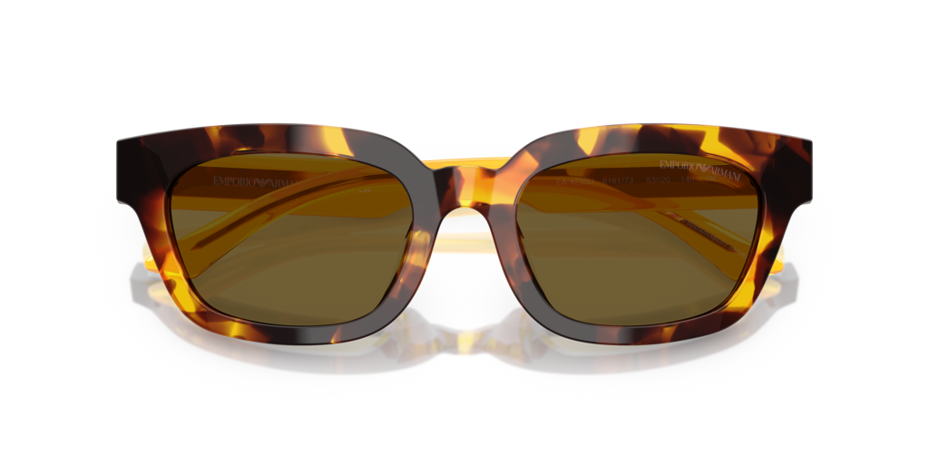Emporio Armani EA4233U 618173