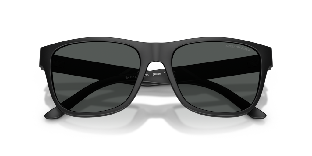 Emporio Armani EA4243 5001T3
