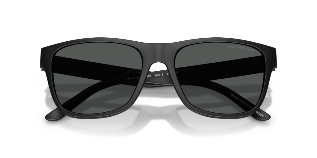 Emporio Armani EA4243 5001T3