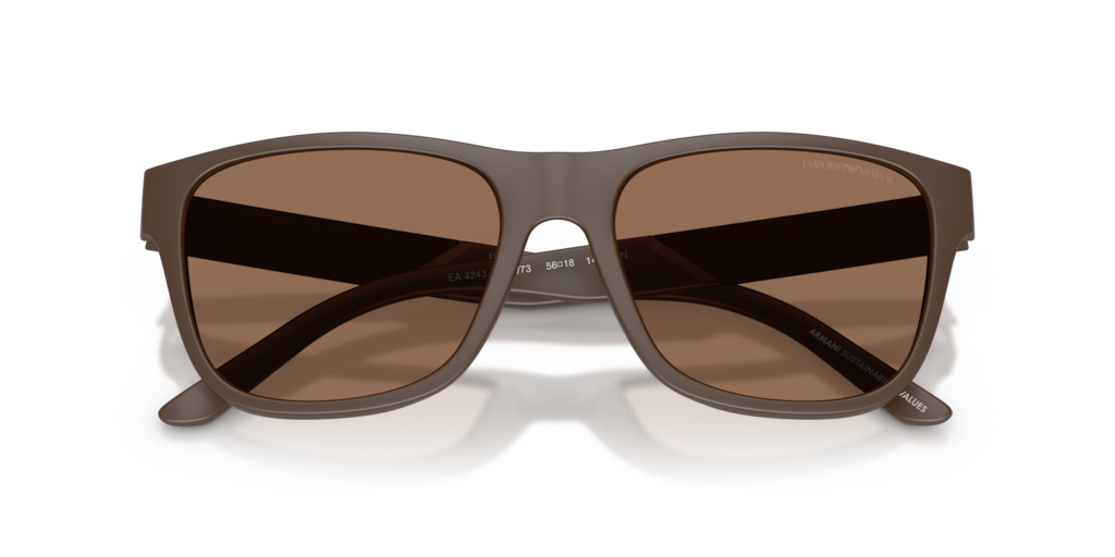 Emporio Armani EA4243 624373