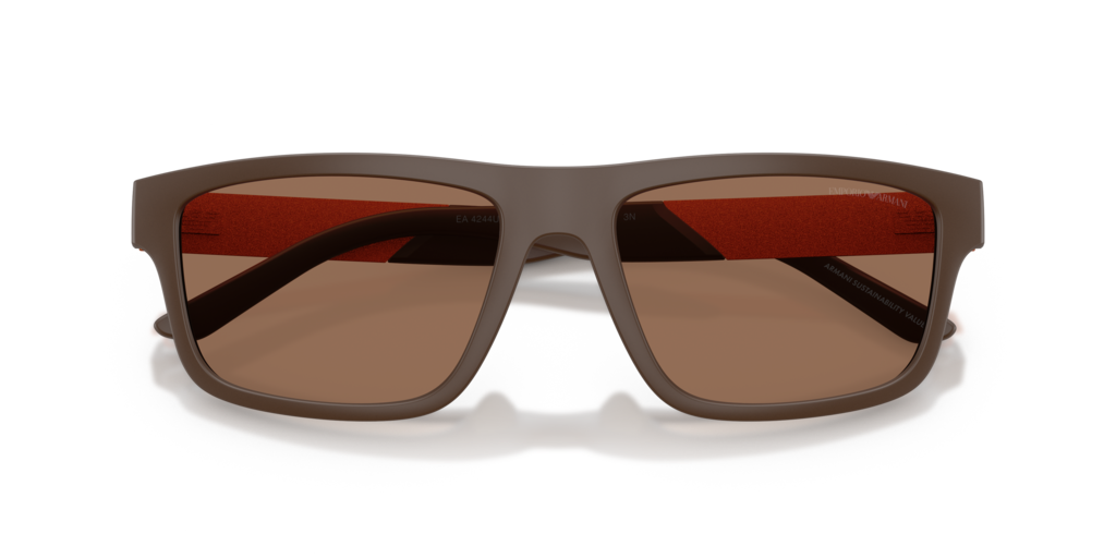 Emporio Armani EA4244U 624373