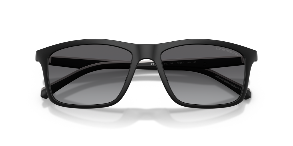 Emporio Armani EA4257U 500181