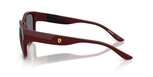 Ferrari Scuderia FZ6028U 530/81