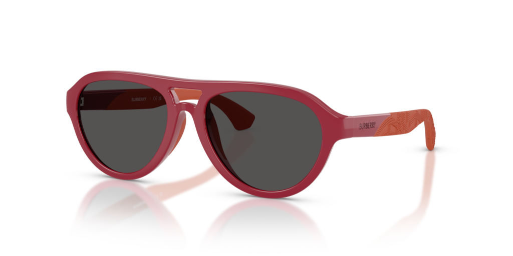 Burberry Kids JB4005U