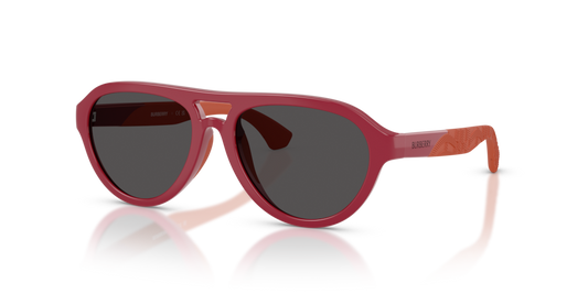 Burberry Kids JB4005U