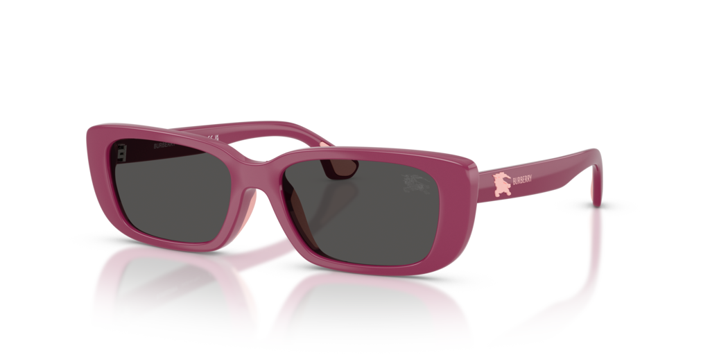 Burberry Kids JB4006U
