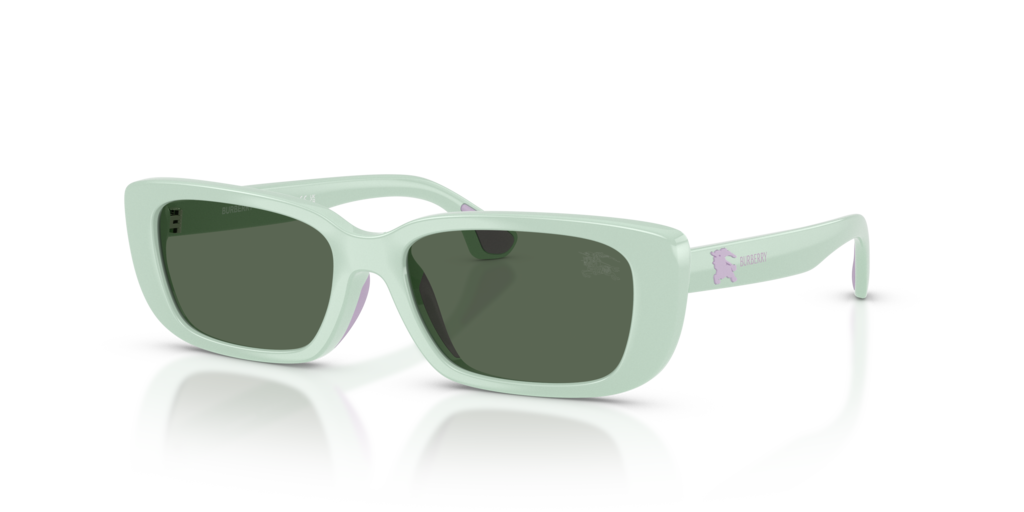 Burberry Kids JB4006U