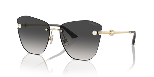 Jimmy Choo JC4004HB
