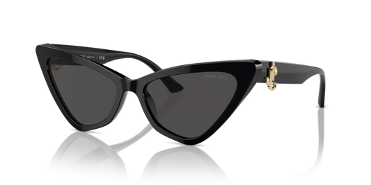 Jimmy Choo JC5008