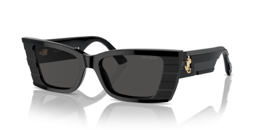 Jimmy Choo JC5009