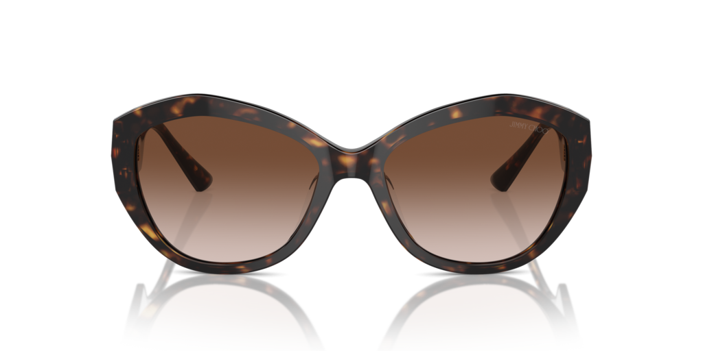 Jimmy Choo JC5013U 500213