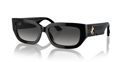 Jimmy Choo JC5017