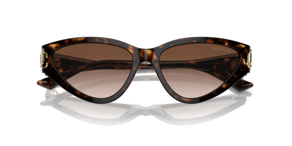 Jimmy Choo JC5019 500213