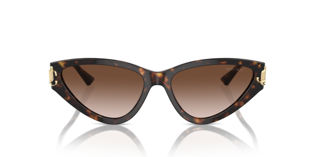 Jimmy Choo JC5019 500213