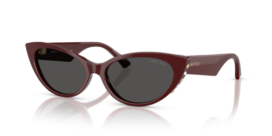 Jimmy Choo JC5023H