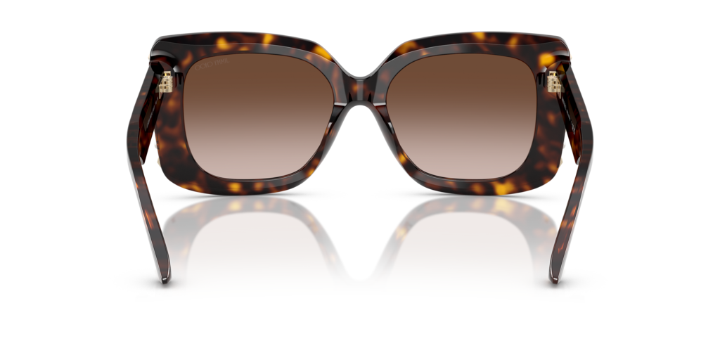 Jimmy Choo JC5025H 500213