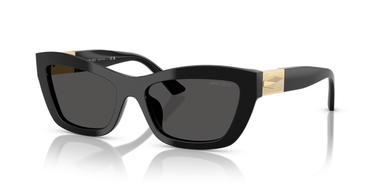 Jimmy Choo JC5030U 500087 - 54 - Güneş Gözlükleri