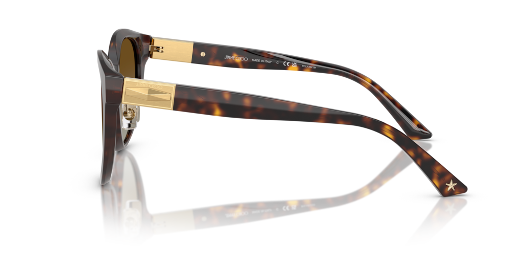 Jimmy Choo JC5032D 5002T5 - 55 - Güneş Gözlükleri