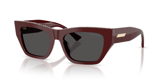 Jimmy Choo JC5035B