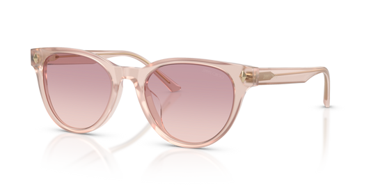 Jimmy Choo JC5043D