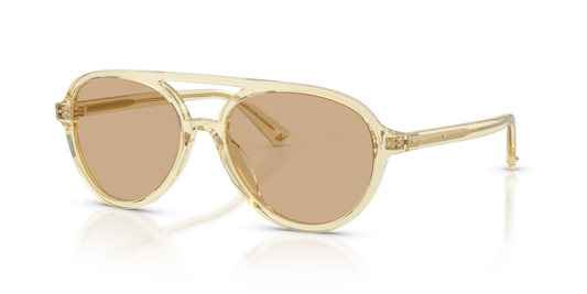 Jimmy Choo JC5055U
