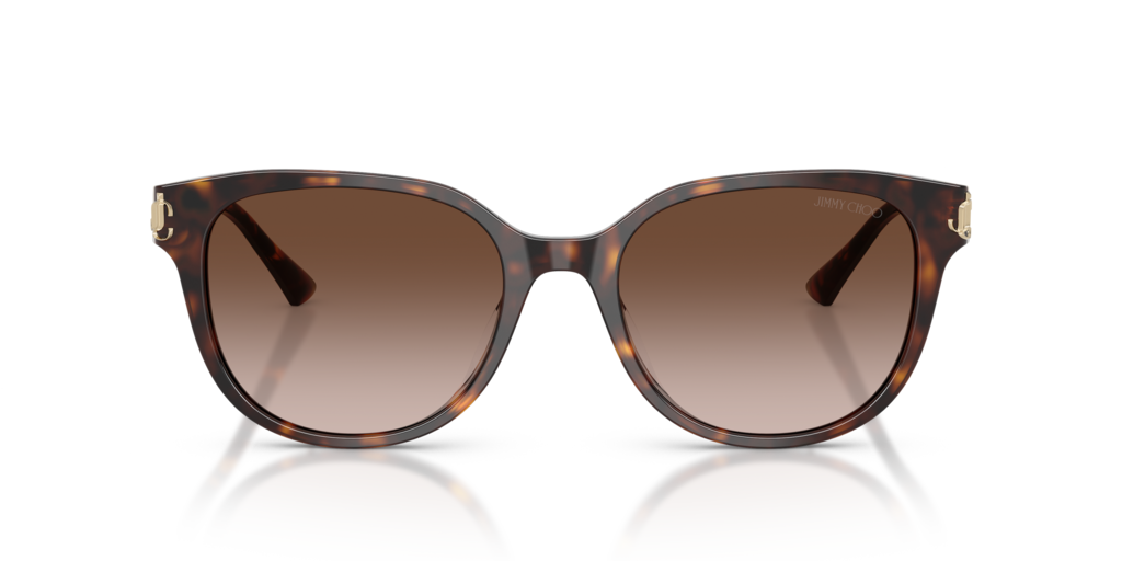 Jimmy Choo JC5057D 500213