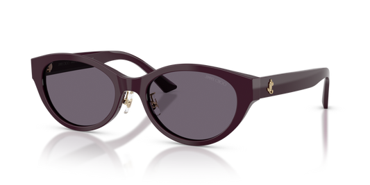 Jimmy Choo JC5064D