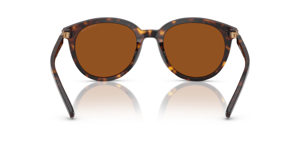 Michael Kors MK2227 300673 53 Güneş Gözlükleri