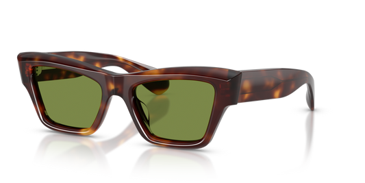 Oliver Peoples OV5611SU