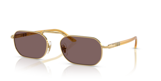 PO1020S