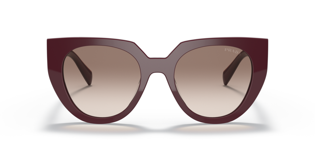 Prada PR 14WS VIY1L0