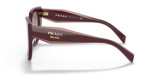 Prada PR 14WS VIY1L0