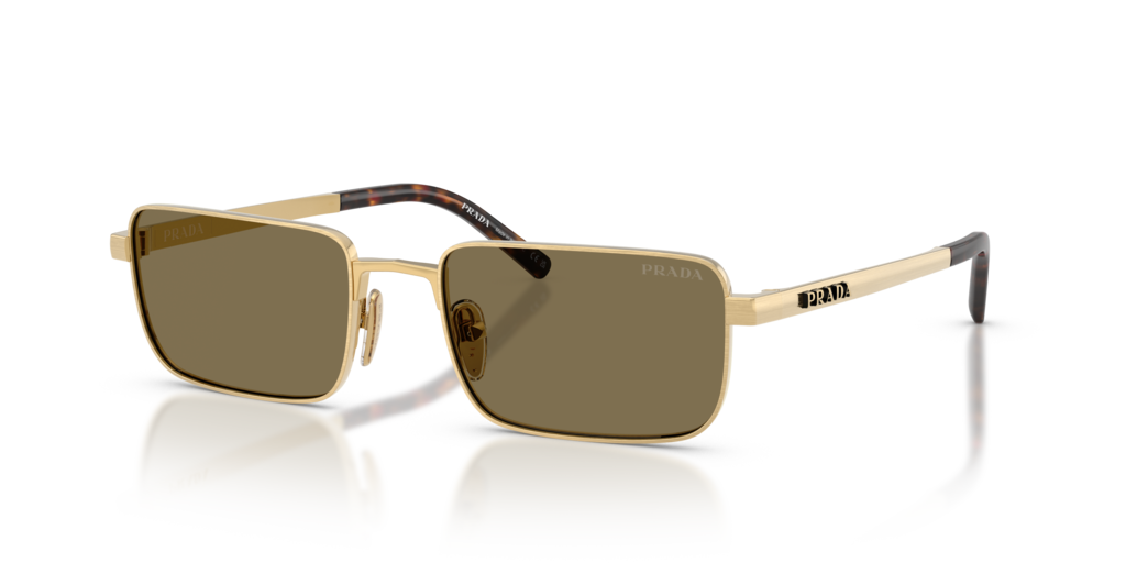 Prada PR D54S