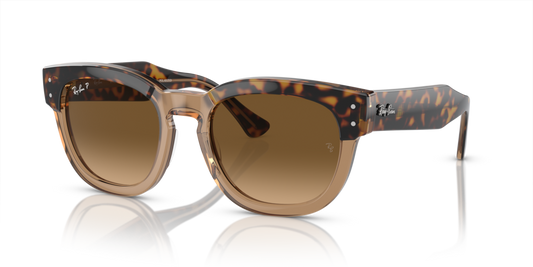 Ray-Ban RB0298S