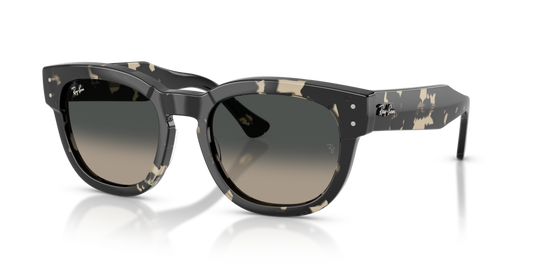 Ray-Ban RB0298S