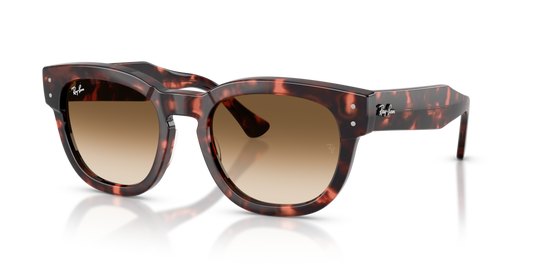 Ray-Ban RB0298S