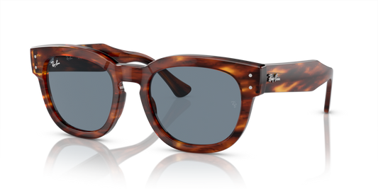Ray-Ban RB0298S