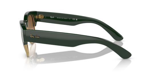 Ray-Ban RB0316S 136851