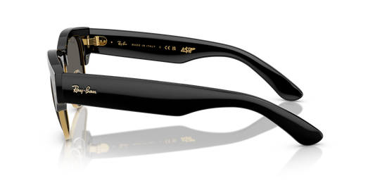 Ray-Ban RB0316S 6826J5