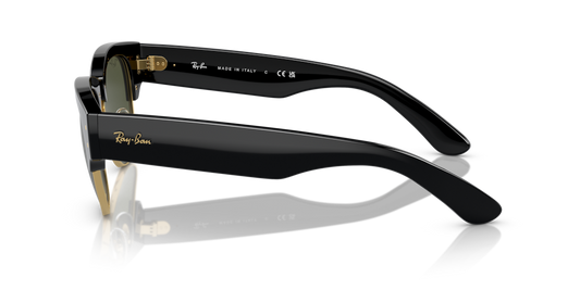 Ray-Ban RB0316S 901/31