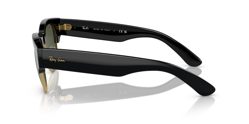 Ray-Ban RB0316S 901/31