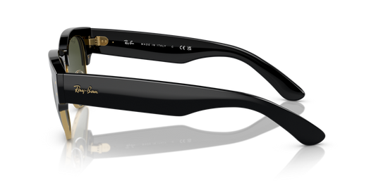 Ray-Ban RB0316S 901/31