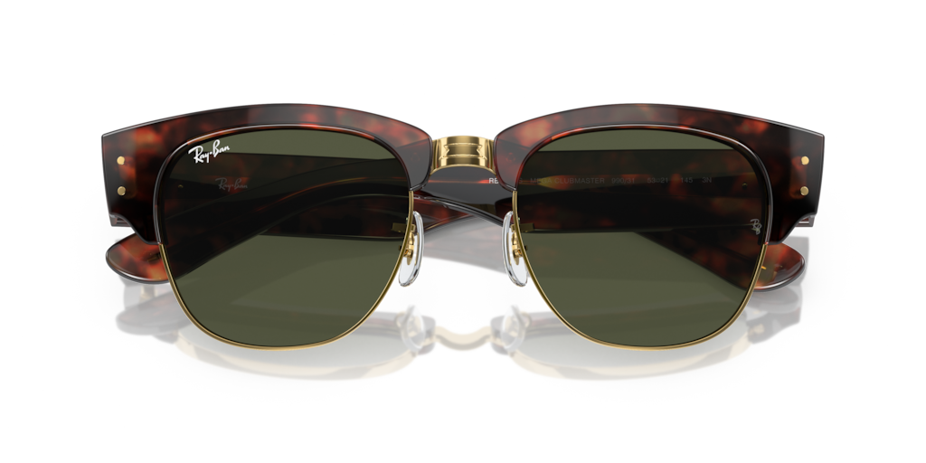 Ray-Ban RB0316S 990/31